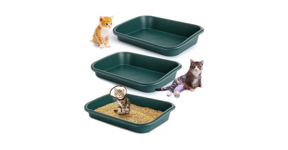 Qual É a Melhor Caixa de Areia Para Gatos Idosos? 10 Opções