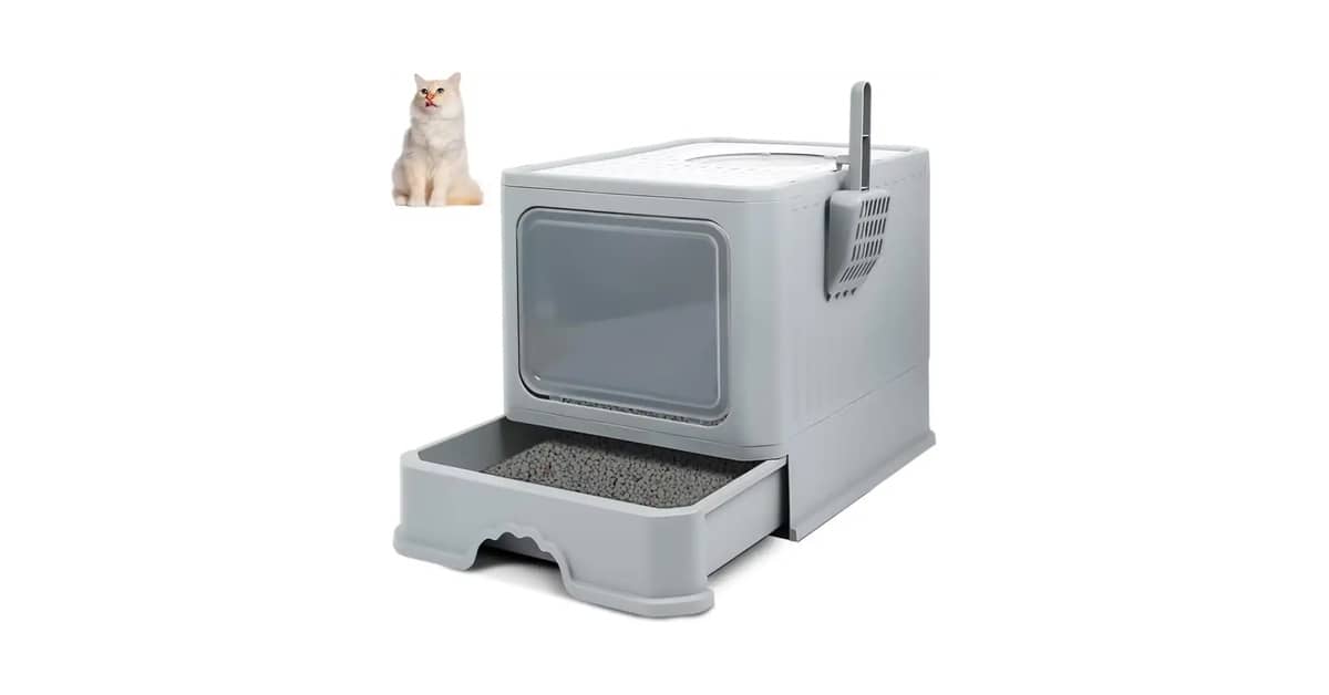 Qual é a Melhor Caixa de Areia para Gatos Que Não Gostam de Porta? 10 Modelos Aprovados