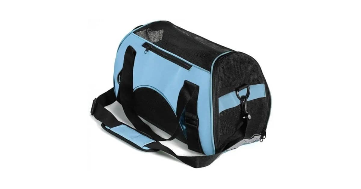 Qual É a Melhor Caixa de Transporte para Gatos? Analise