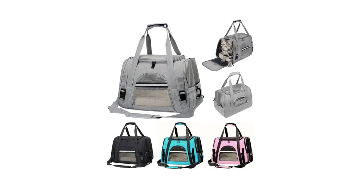 Qual é a Melhor Caixa de Transporte para Viagens de Carro? Guia de Segurança