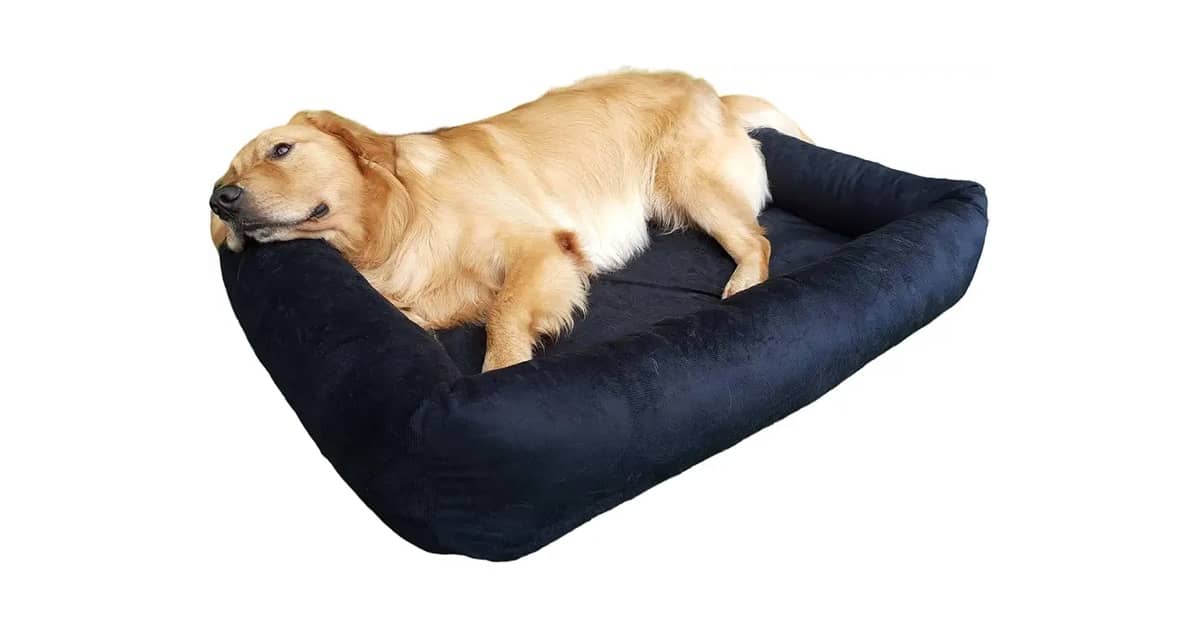 Qual É a Melhor Cama Para Cachorro de Porte Grande? Guia