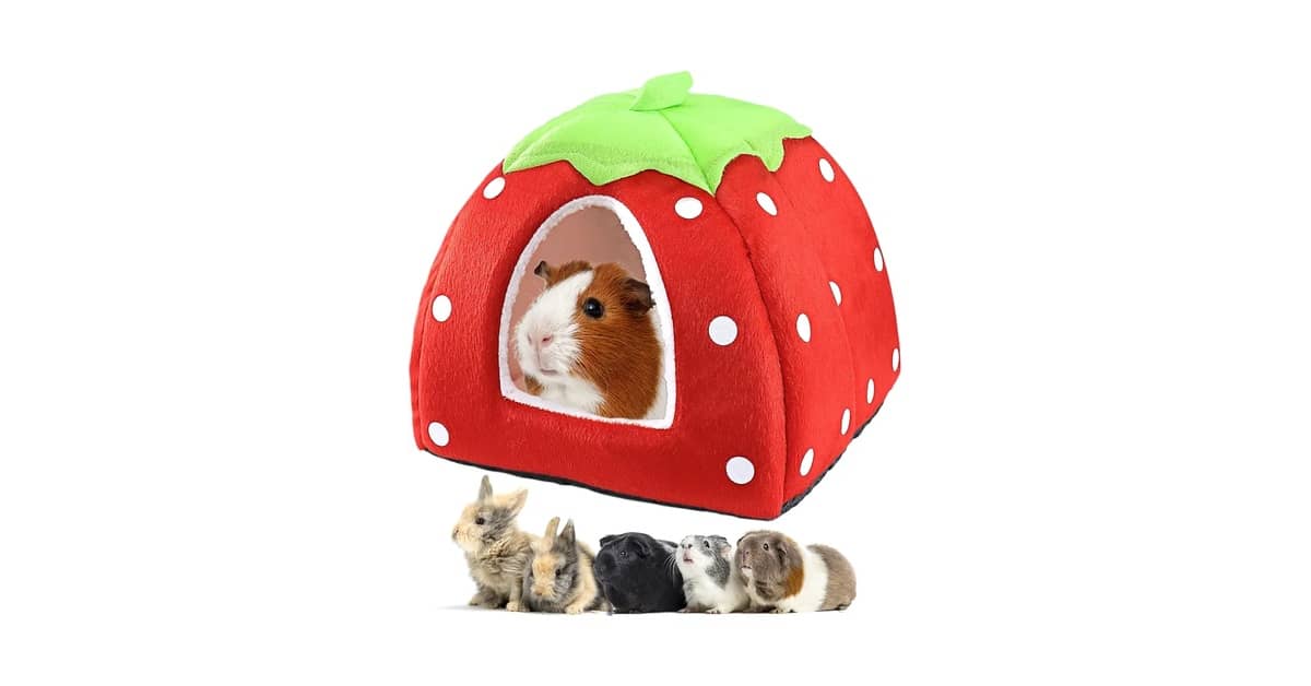 Qual é a Melhor Cama para Furão? Guia de Redes, Tocas e Mais!