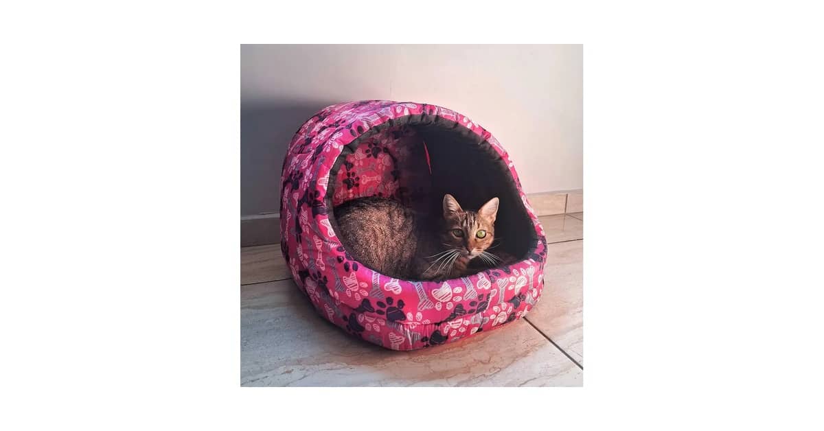 Qual é a Melhor Cama para Gatos que Gostam de Se Esconder? Guia de Tocas Seguras