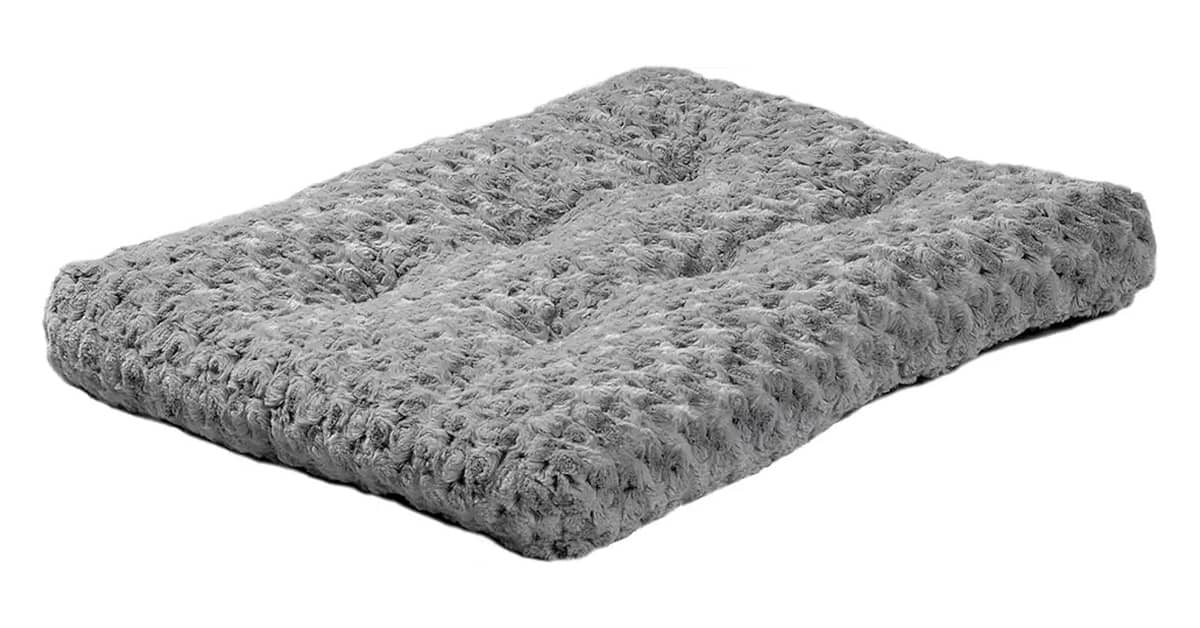 Qual É a Melhor Cama Para Gatos Que Pode Ser Lavada na Máquina Para Higiene Total?