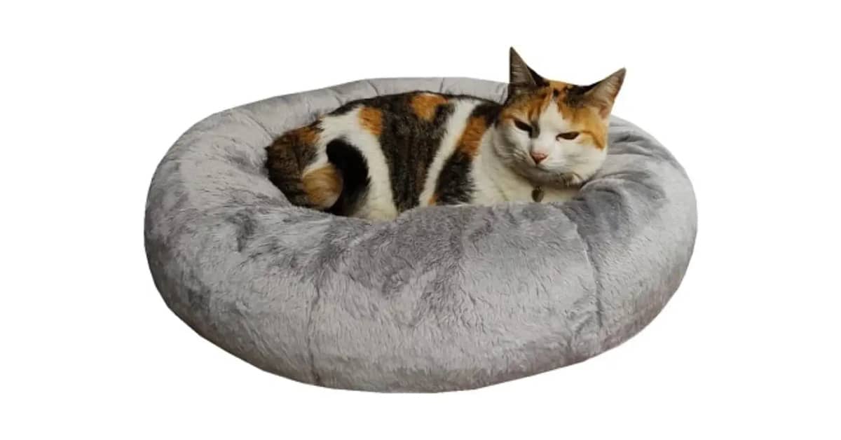 Qual É a Melhor Cama Para Gatos? Do Iglu à Rede!