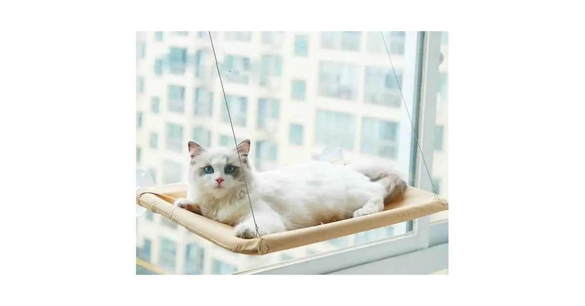 Qual É a Melhor Cama Suspensa Para Gatos (de Janela)? Guia de Segurança e Conforto