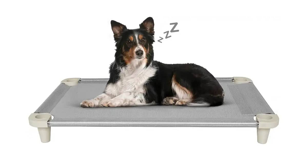 Qual é a Melhor Caminha de Cachorro Que Pode Ser Lavada na Máquina? Guia de Higiene