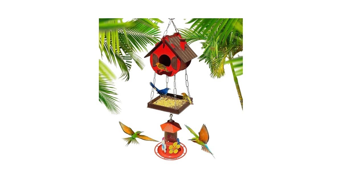 Qual É a Melhor Casa de Passarinho Para Jardim: O Guia Completo