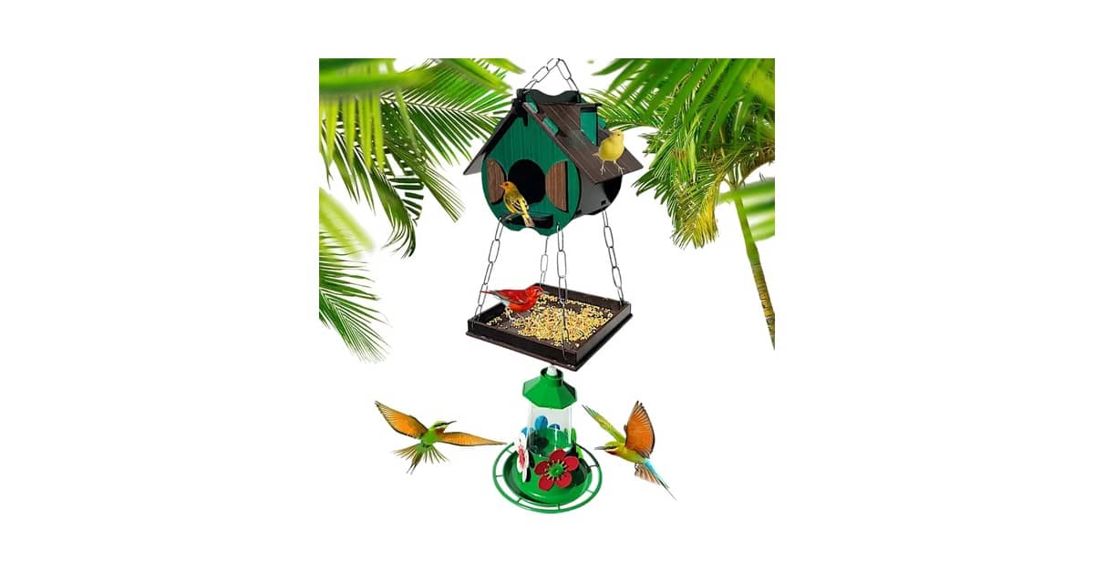 Qual é a Melhor Casa de Passarinho? Madeira vs Plástico