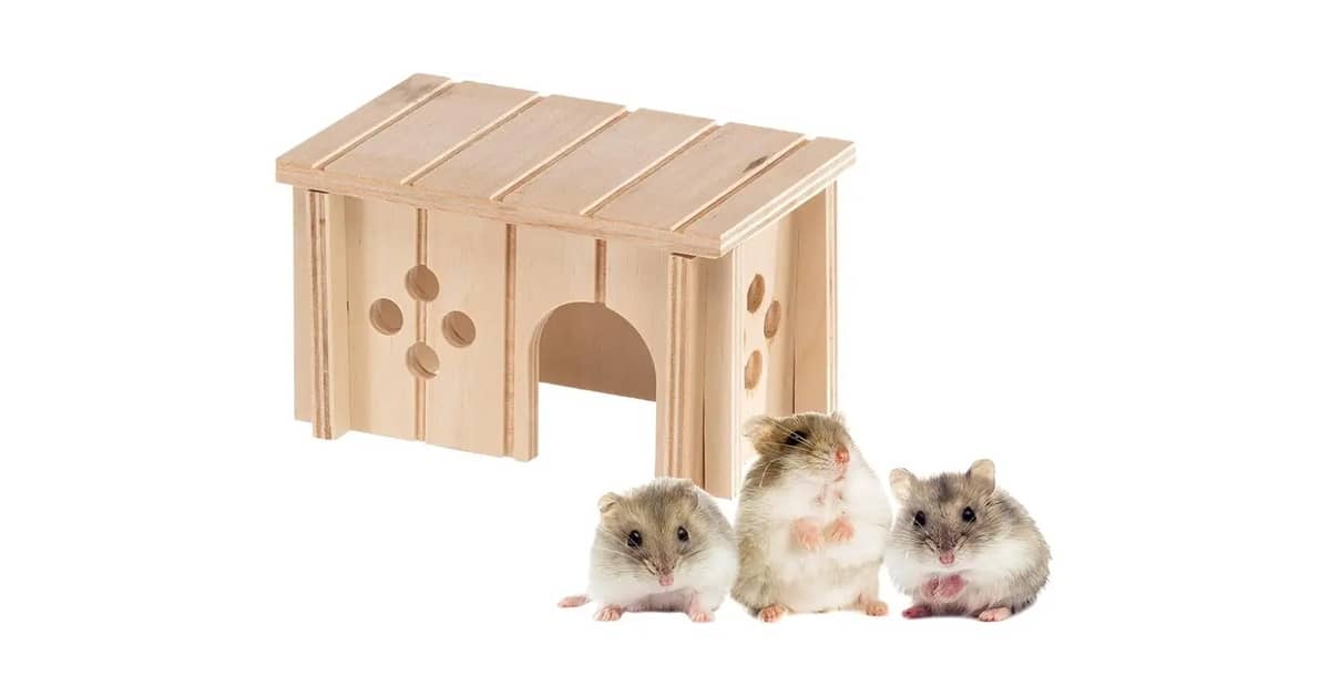 Qual é a Melhor Casinha de Coco Para Hamster? Vale a Pena?