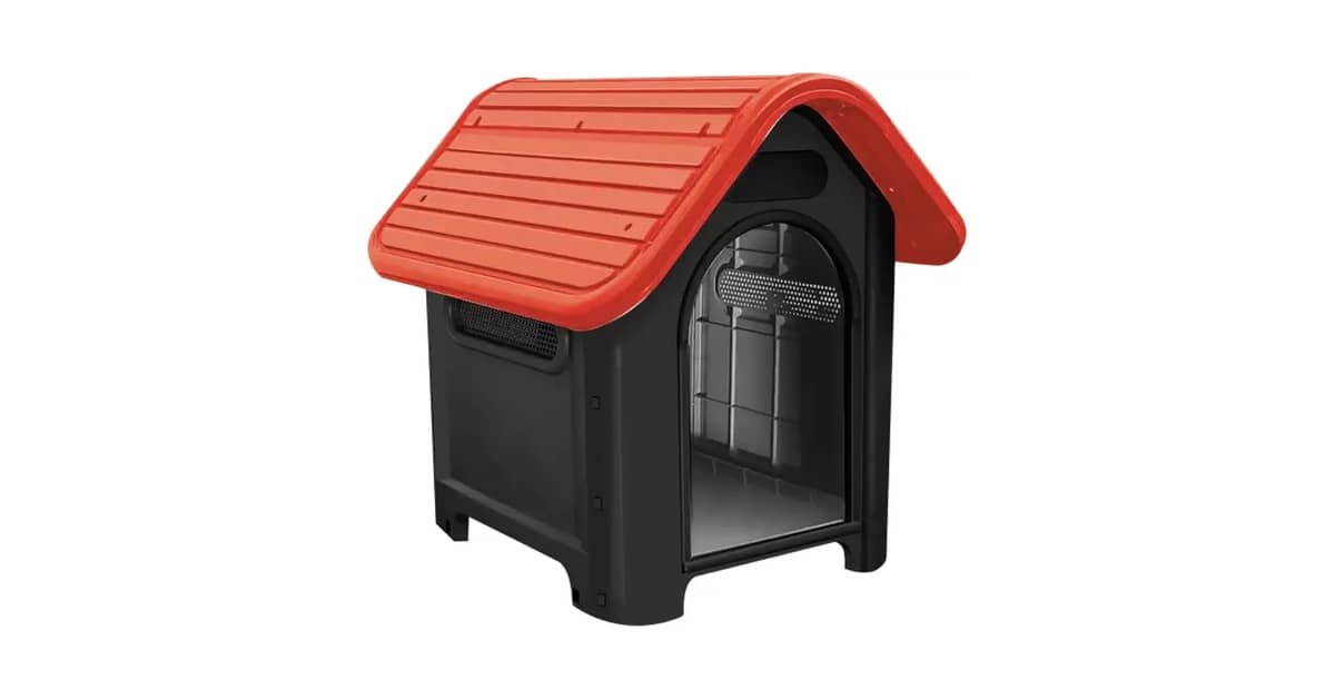 Qual É a Melhor Casinha Para Cachorrinho? Guia Pet!