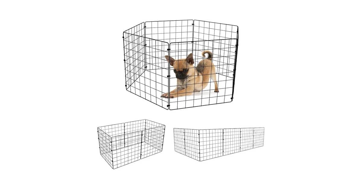 Qual É a Melhor Cerca Para Ovelha? 5 Soluções Elétricas