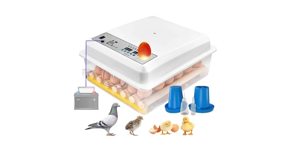 Qual é a Melhor Chocadeira Incubadora de Ovos? Guia