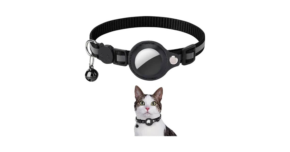 Qual é a Melhor Coleira com GPS para Cães? 10 Opções