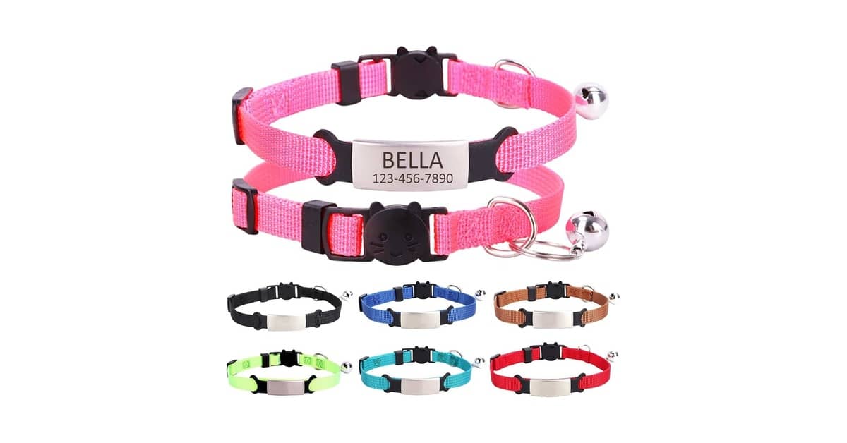 Qual É a Melhor Coleira com Nome e Telefone Gravados? 8 Modelos Seguros