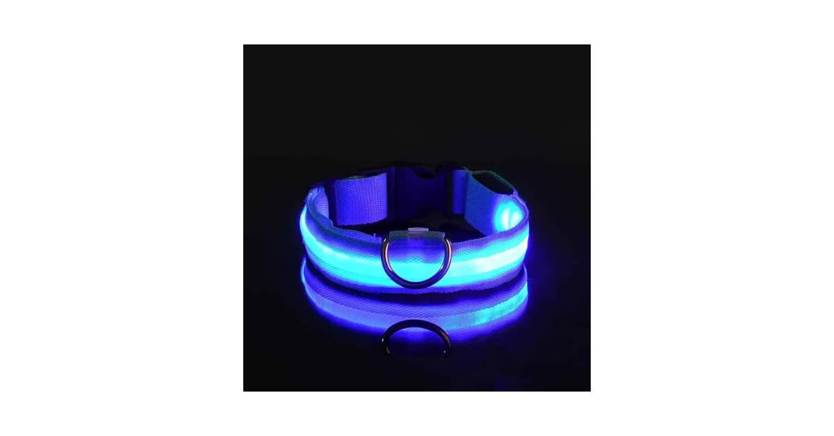 Qual é a Melhor Coleira Luminosa Para Passeios Noturnos? 10 Opções Seguras