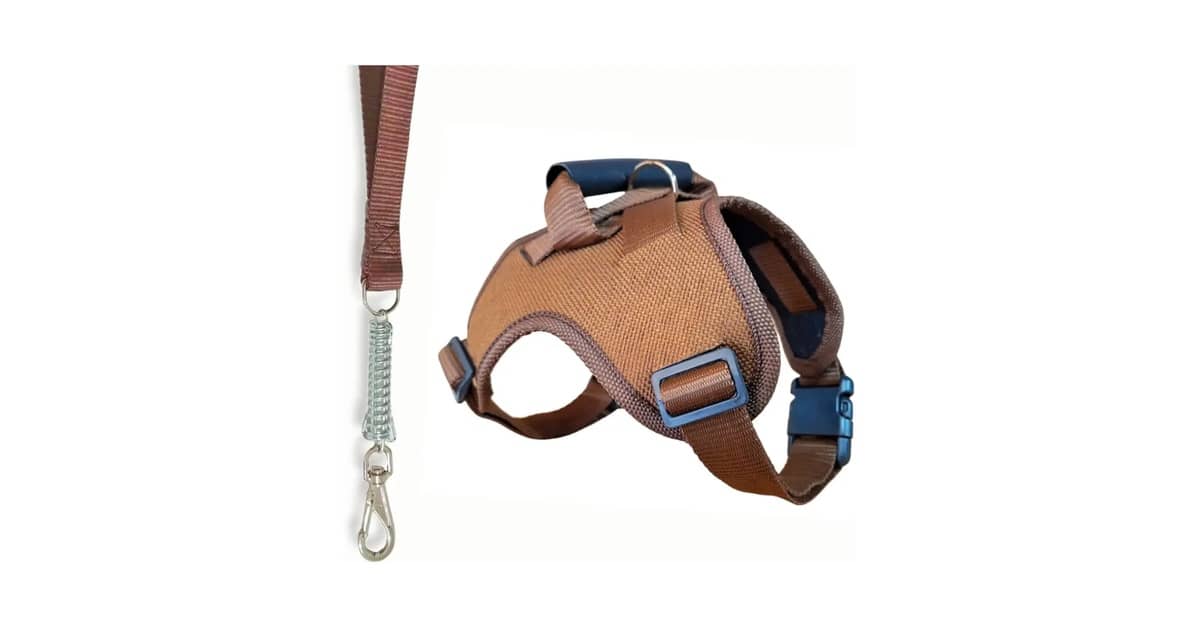 Qual É a Melhor Coleira Para Cachorro Com Amortecedor?