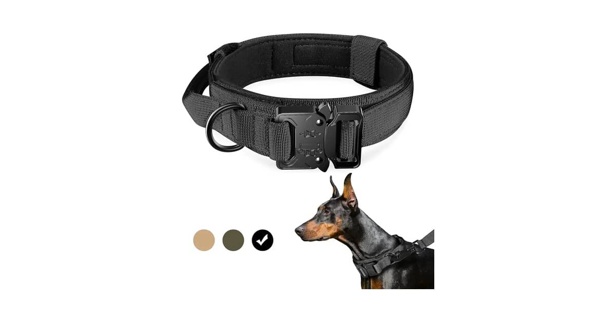 Qual É a Melhor Coleira para Cachorro com Fivela de Metal?