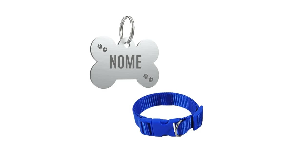 Qual é a Melhor Coleira Para Cachorro Com Nome e Telefone Gravados? Do Bordado ao GPS