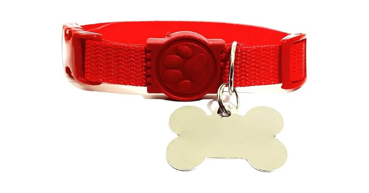 Qual É a Melhor Coleira Para Cachorro Com Placa de Identificação? Nosso Top 10