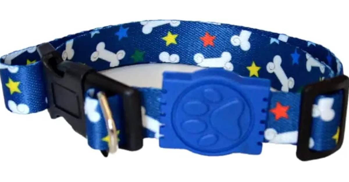 Qual é a Melhor Coleira para Cachorro Filhote? Guia Para o 1º Passeio