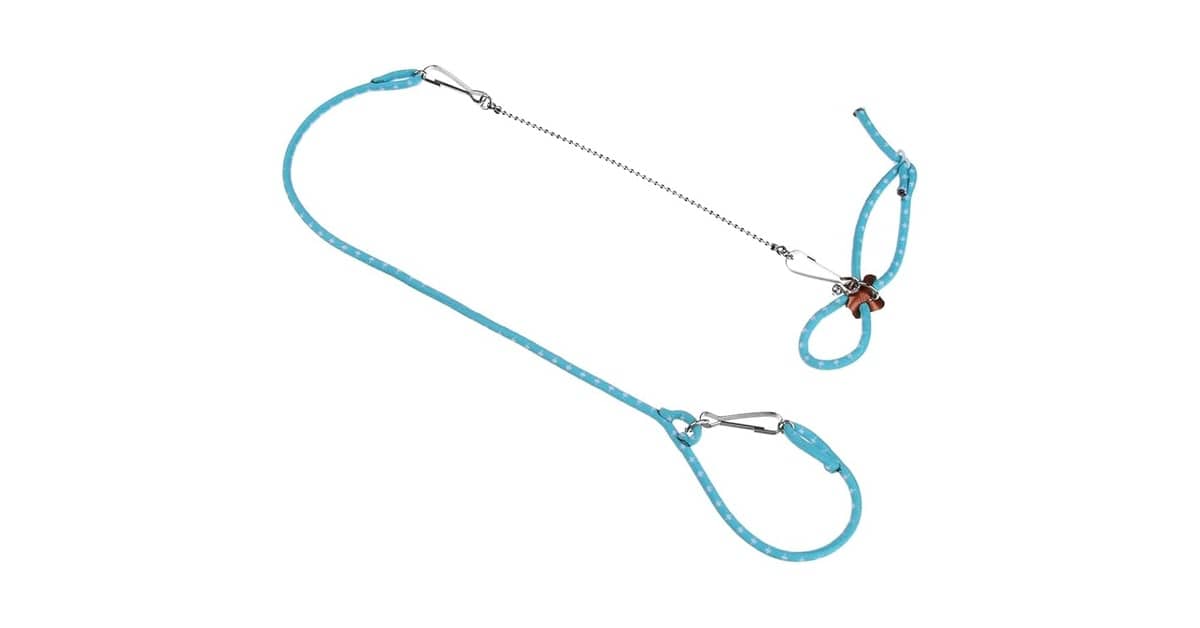 Qual é a Melhor Coleira para Furão? 6 Modelos Seguros