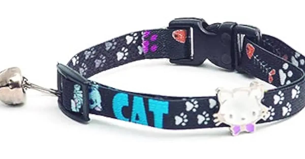 Qual é a Melhor Coleira Para Gato? Guia de Segurança