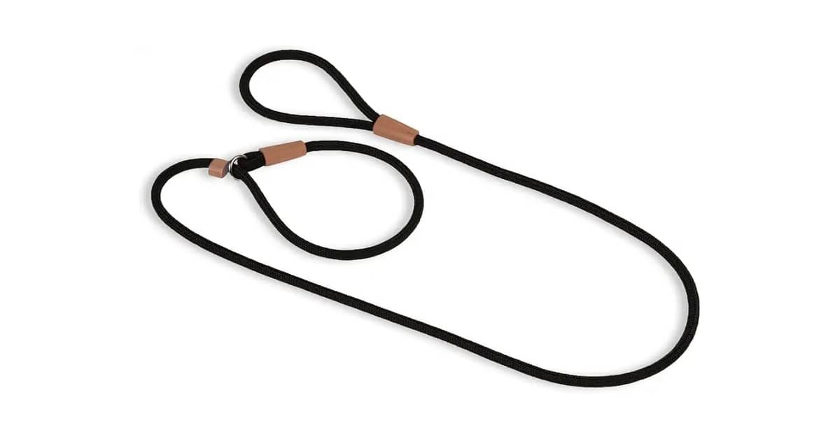 Qual é a Melhor Coleira para Passeio com Guia Unificada para Adestramento?