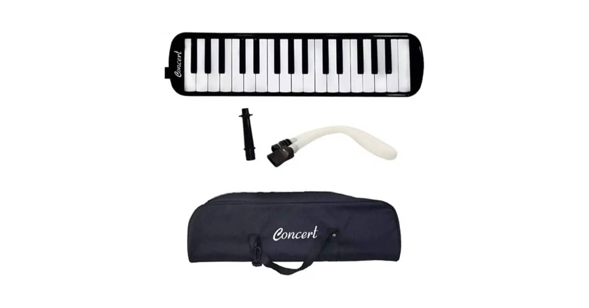 Qual é a Melhor Escaleta Para Aprender a Tocar?