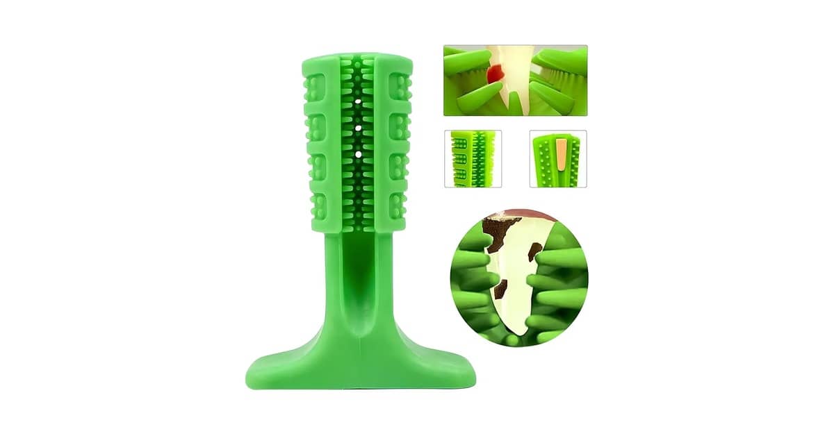 Qual É a Melhor Escova de Dente Para Cachorro de Porte Pequeno Para Evitar Tártaro?