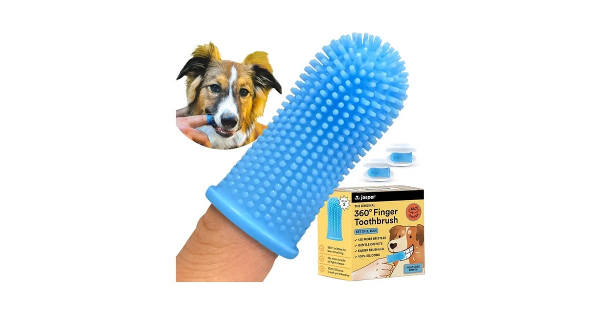 Qual é a Melhor Escova de Dentes para Cães Grandes? 9 Opções Eficientes