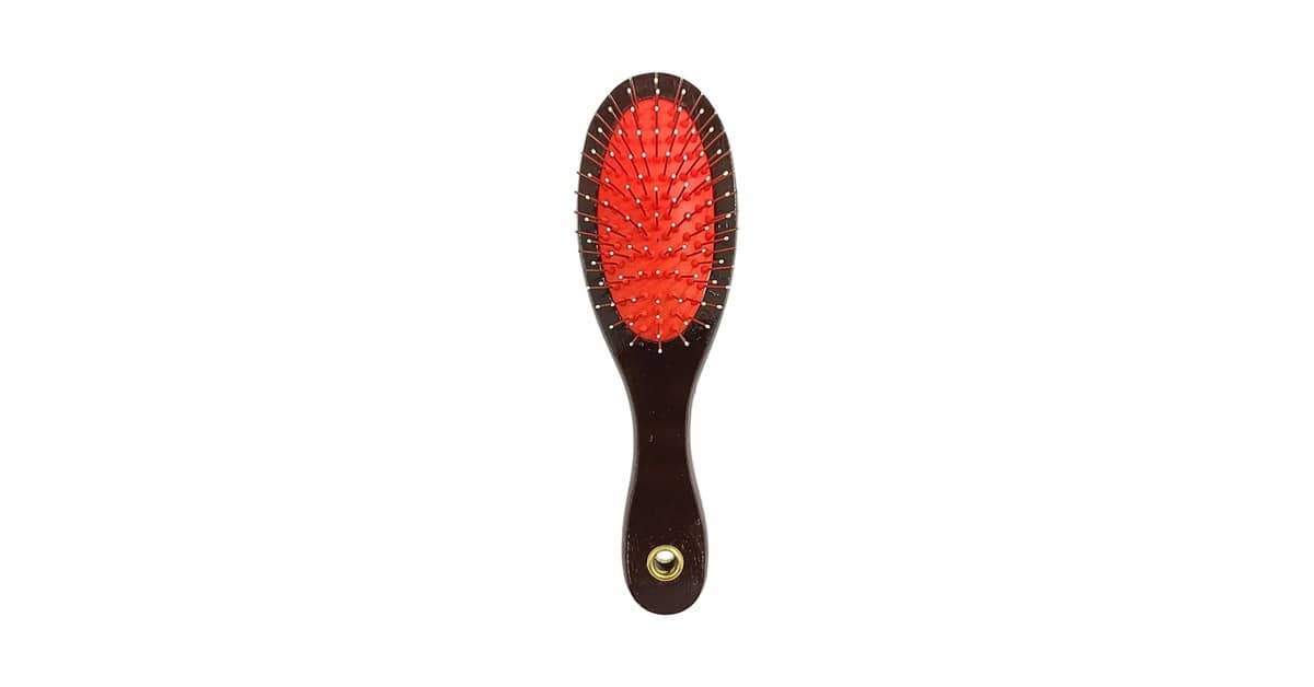 Qual É a Melhor Escova Para Cachorro Por Tipo de Pelo?