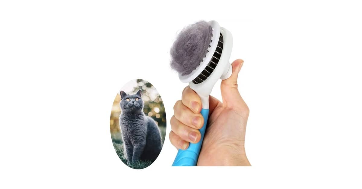 Qual é a Melhor Escova para Gatos: Vapor ou Comum?