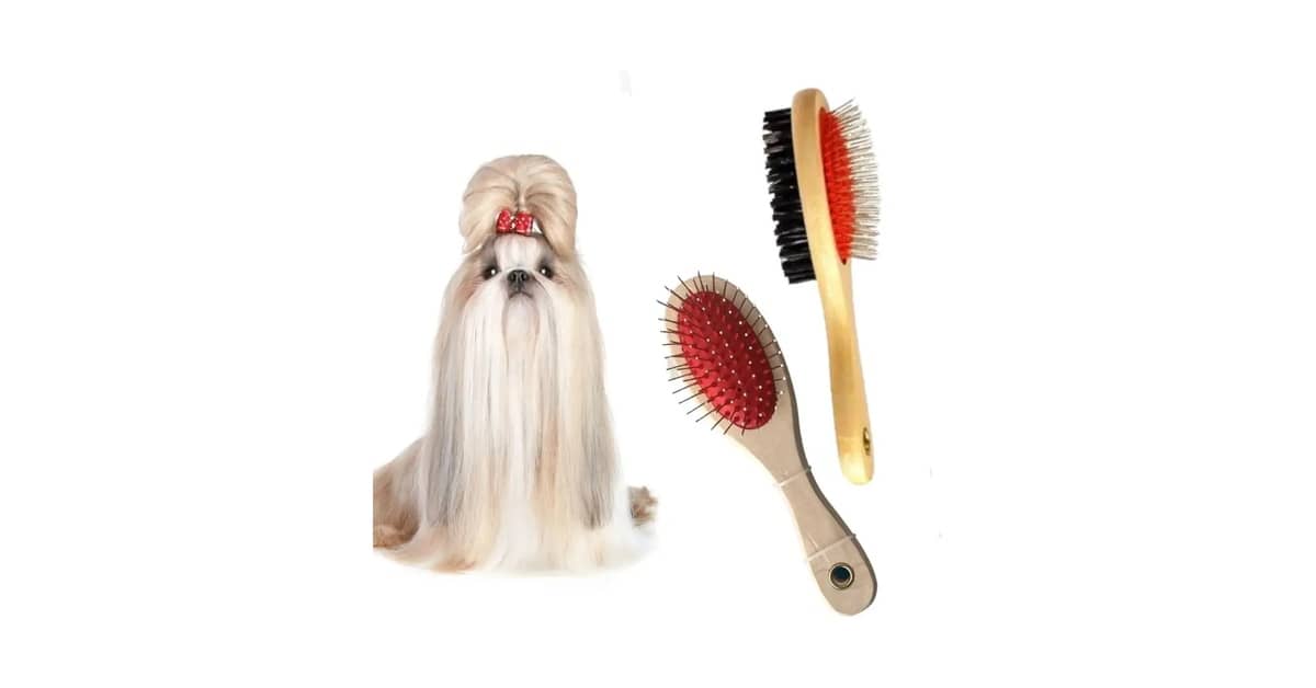 Qual É a Melhor Escova Para Pentear Cachorro de Pelo Longo? Guia Anti-Nós