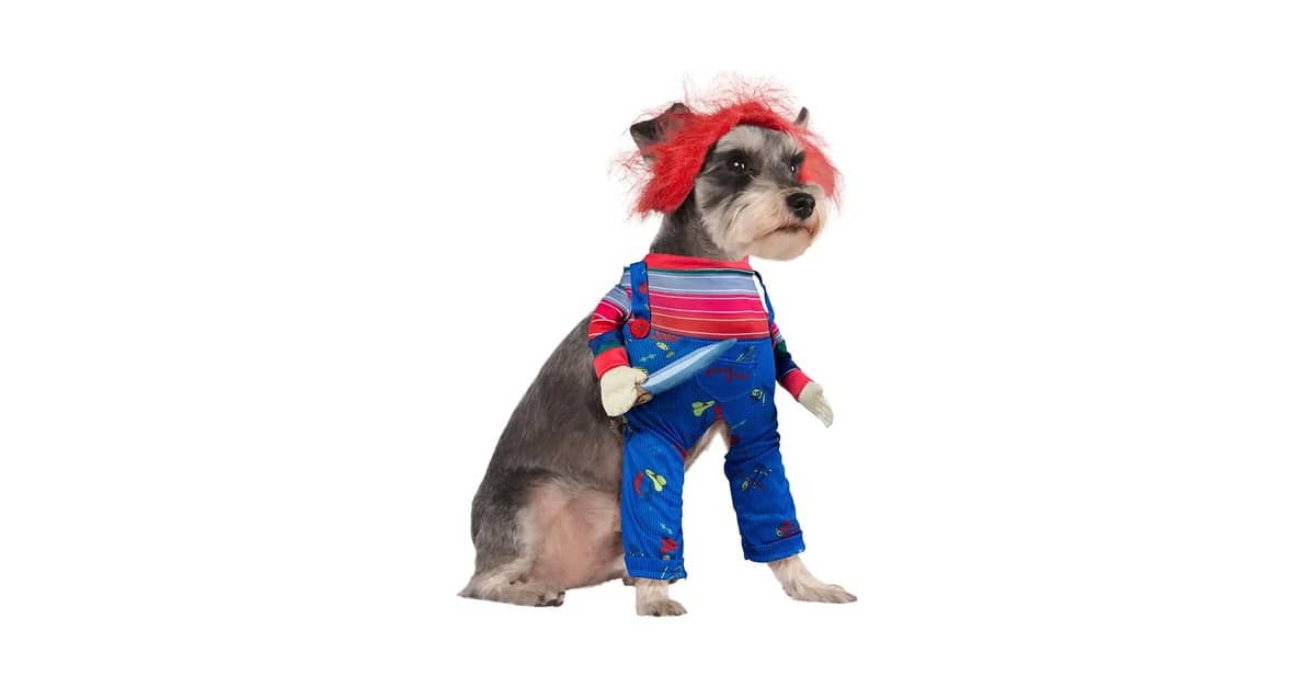 Qual é a Melhor Fantasia de Halloween Para Cachorro?