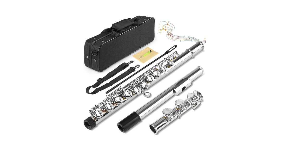 Qual é a Melhor Flauta Transversal? Guia do Iniciante