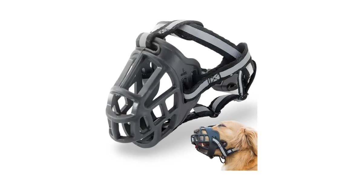 Qual é a Melhor Focinheira para Cachorro? 10 Opções