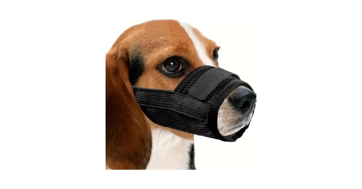 Qual É a Melhor Focinheira? Análise de 9 Tipos