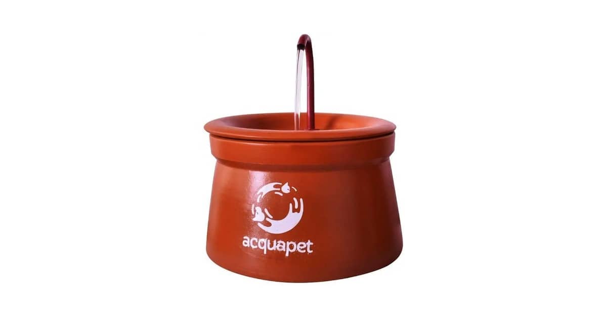 Qual É a Melhor Fonte de Água Para Gatos de Cerâmica? Análise de 10 Opções