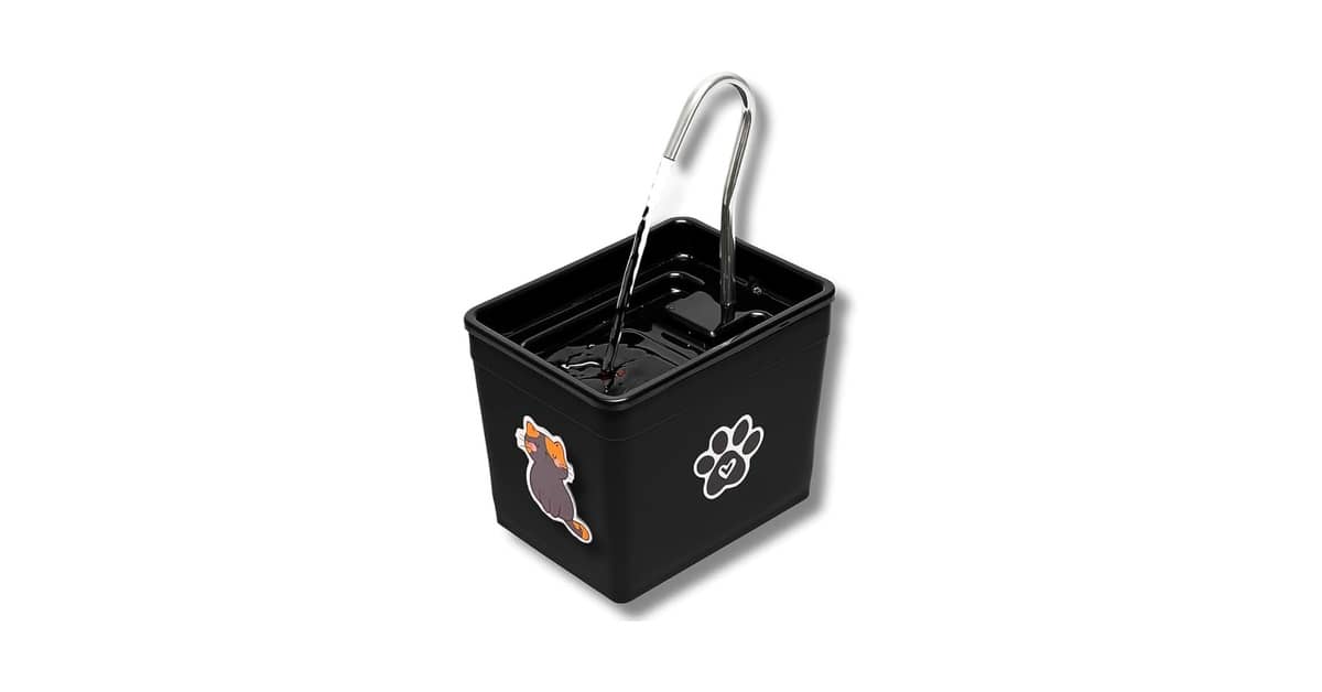 Qual é a Melhor Fonte de Água para Gatos para Estimular a Hidratação?