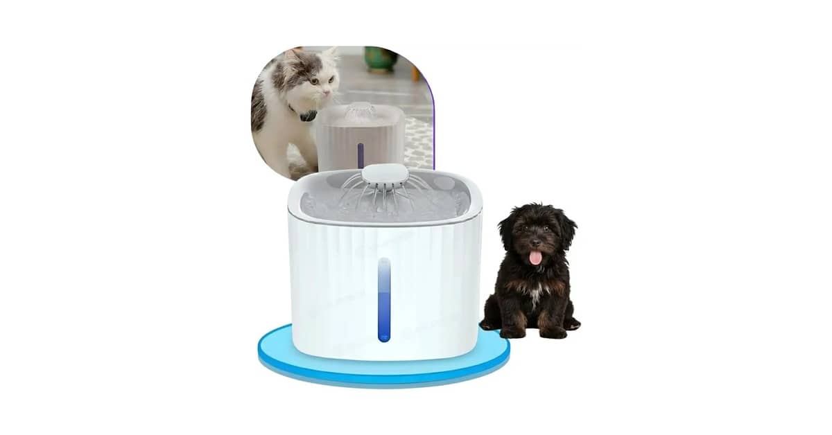 Qual é a Melhor Fonte Para Gatos Com Filtro de Carvão Ativado? Guia de 8 Modelos