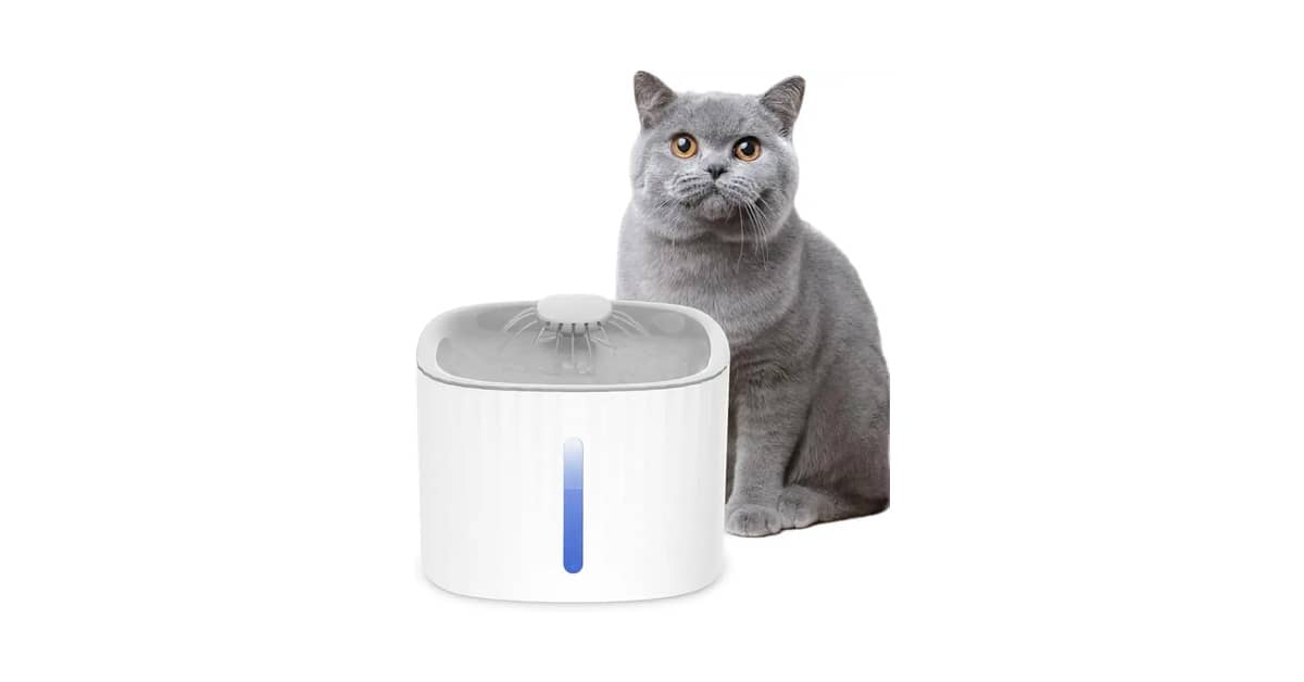 Qual É a Melhor Fonte Para Gatos Com Filtro e Luz Noturna? Análise de 4 Opções