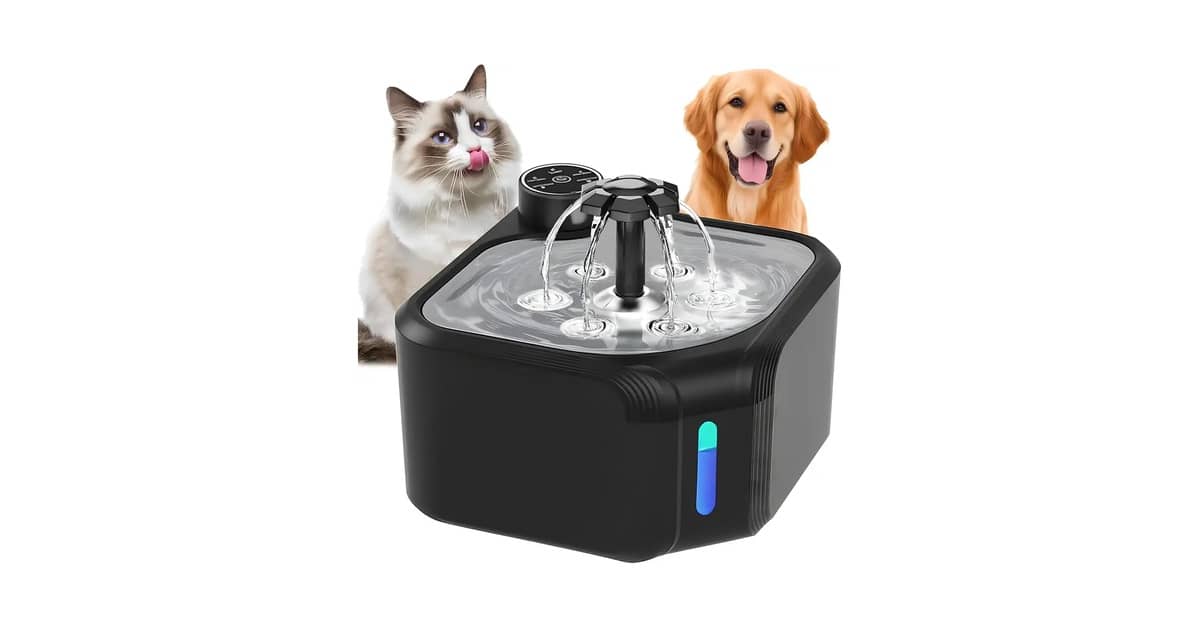 Qual é a Melhor Fonte para Gatos com Reservatório Grande? Analisamos 8 Opções