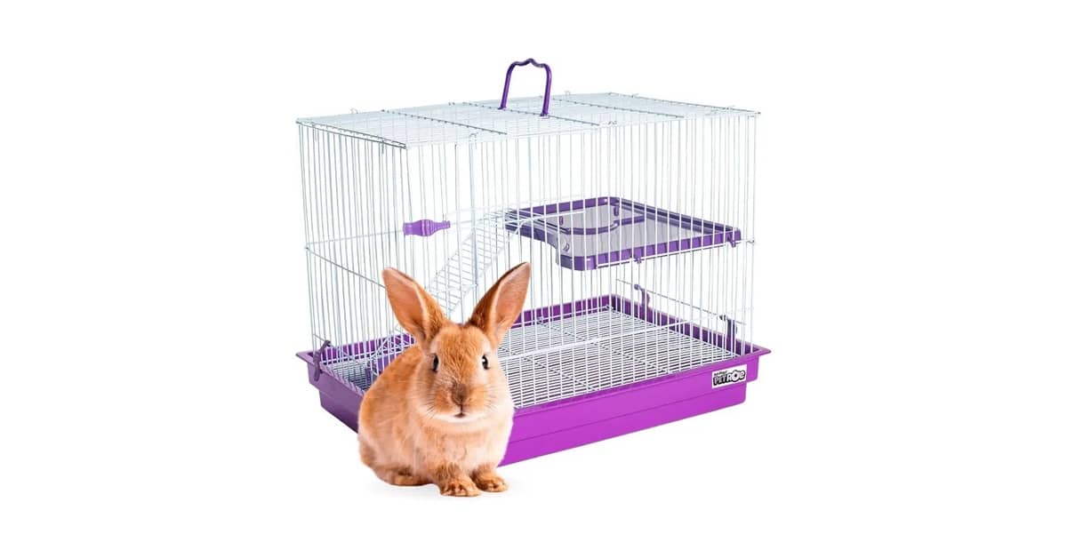 Qual é a Melhor Gaiola para Coelho? Mais Espaço