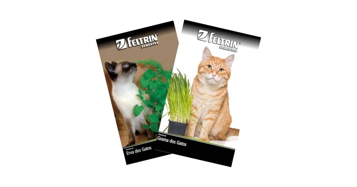 Qual é a Melhor Grama para Gato (Catnip)? Guia
