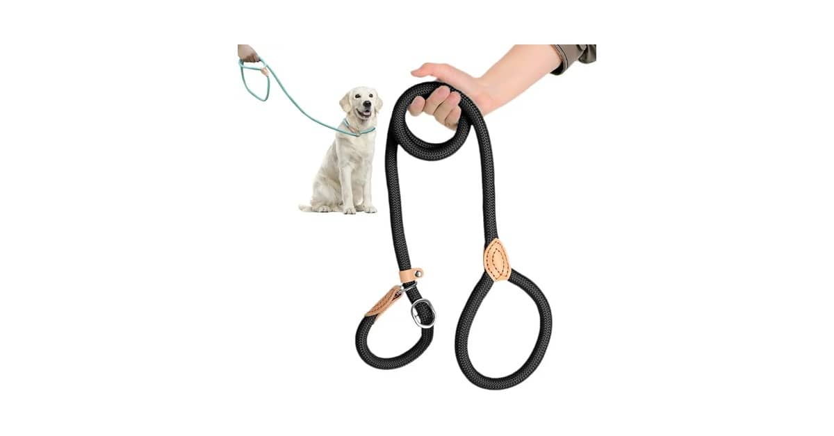 Qual É a Melhor Guia de Adestramento Para Cães? Tipos