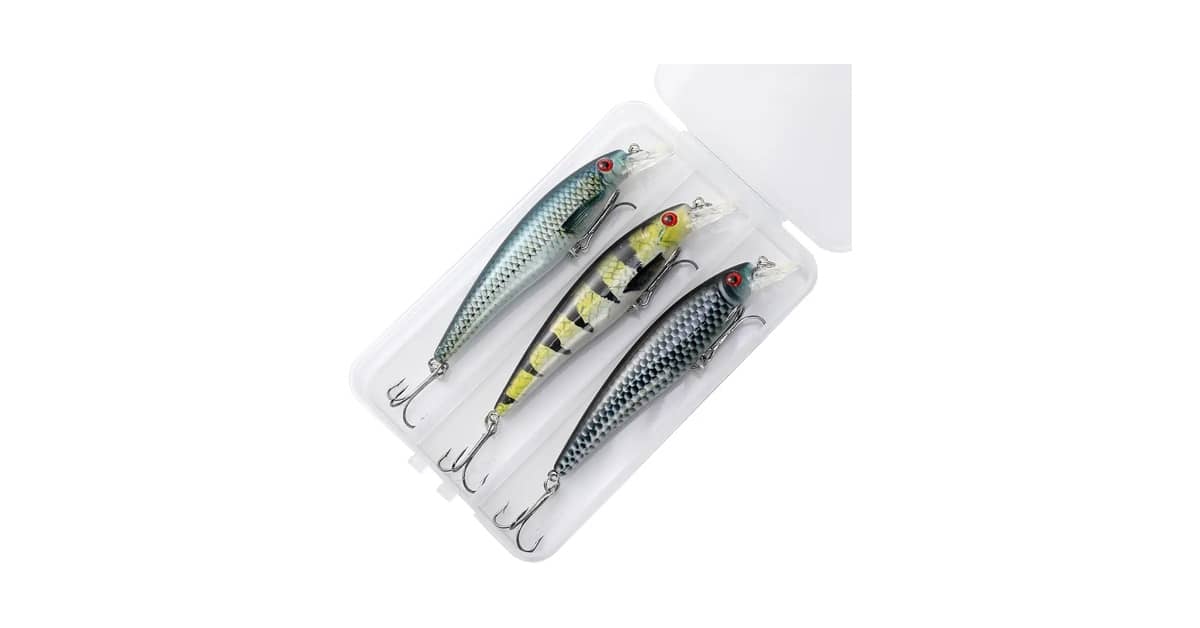 Qual É a Melhor Isca de Meia Água Para Robalo? Guia de Ação