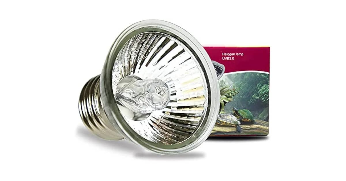 Qual É a Melhor Lâmpada Para Tartaruga: UVA vs UVB