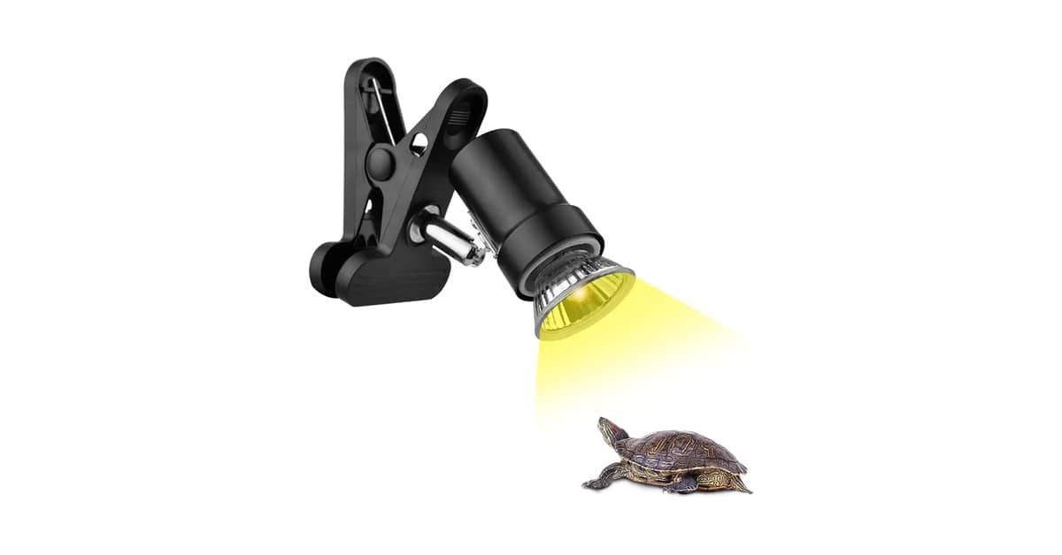 Qual é a Melhor Lâmpada UVB para Répteis? Guia de Tipos e Análises