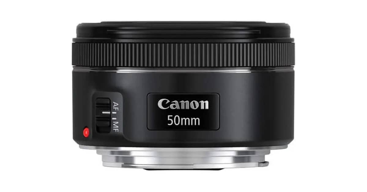 Qual é a Melhor Lente Canon Para Sua Fotografia?